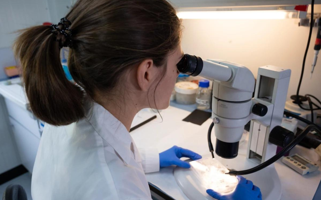 Desarrollan IA que detecta cáncer e infecciones virales con precisión nanométrica