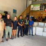 CODOPESCA y Nature Foundation Sint Maarten lideran operación internacional contra el tráfico de anguilas: más de 66,000 ejemplares incautados