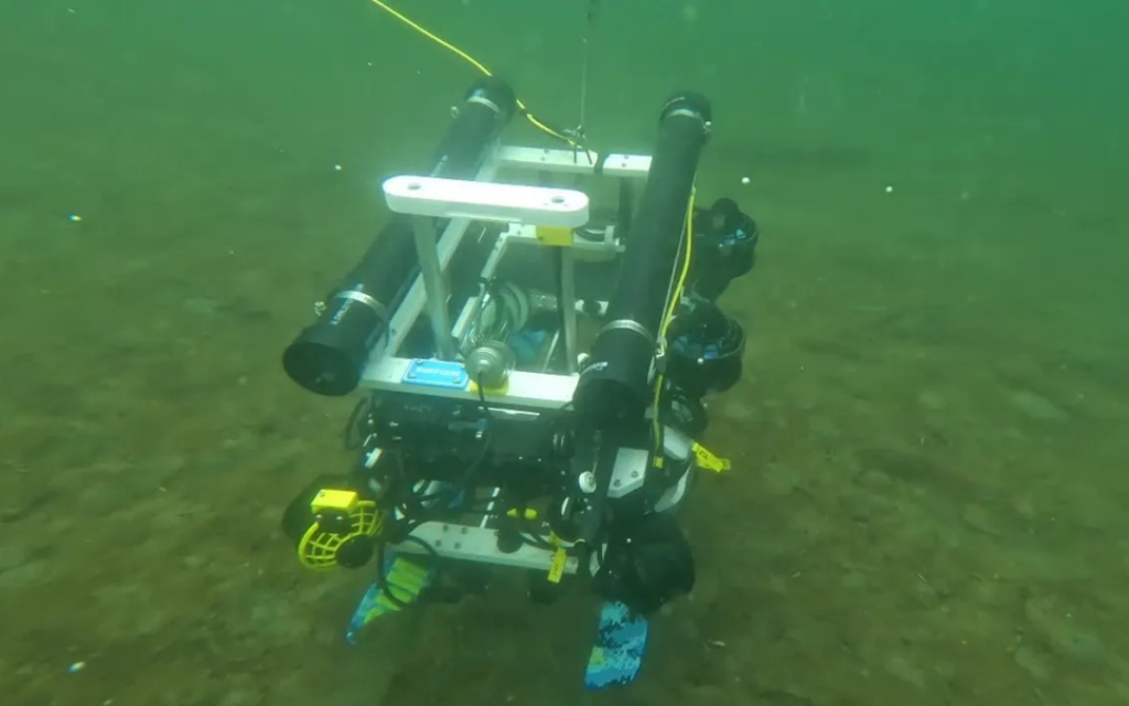 Un robot ayuda a restaurar praderas marinas perdidas en todo el mundo