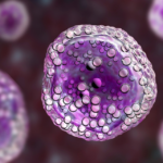 Nuevo algoritmo identifica células inmunitarias específicas contra el cáncer