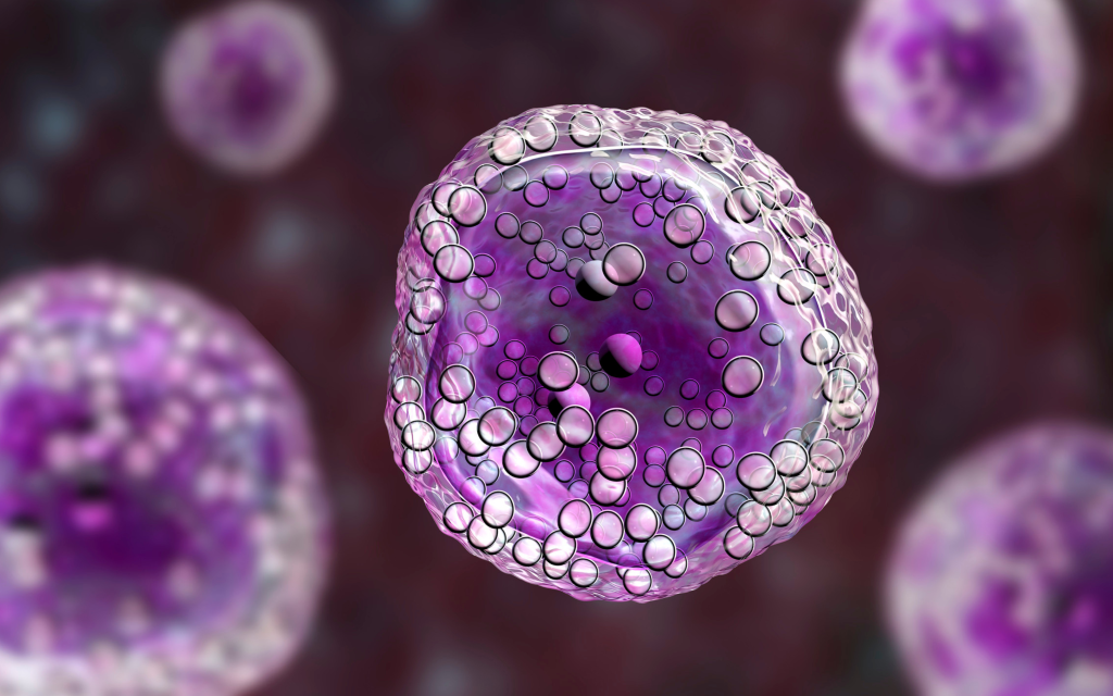 Nuevo algoritmo identifica células inmunitarias específicas contra el cáncer