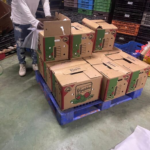 CODOPESCA Decomisa 259 Libras de Tortuga Tinglar que Iban a Ser Exportadas Ilegalmente como Tilapia y Bacalao