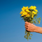 ¿Por qué el 21 de marzo se regalan flores amarillas? Una tendencia que florece con la llegada de la primavera