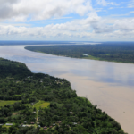 La tasa de deforestación en Colombia en 2024 fue una de las más bajas en 23 años
