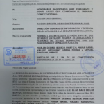 La DIDA somete acción ante el Tribunal Constitucional en defensa de familiares de pensionados fallecidos