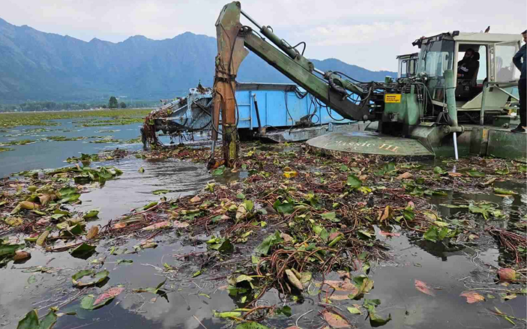 Revive icónico lago indio transformando maleza en fertilizante orgánico