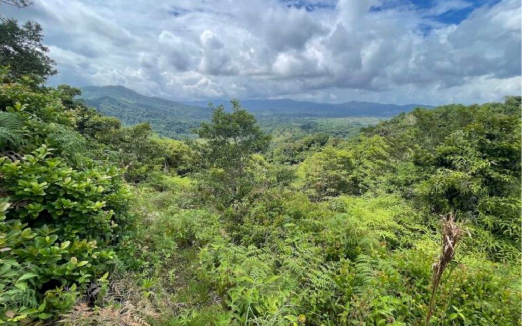 Colombia crea un territorio para proteger a grupos indígenas