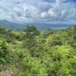 Colombia crea un territorio para proteger a grupos indígenas