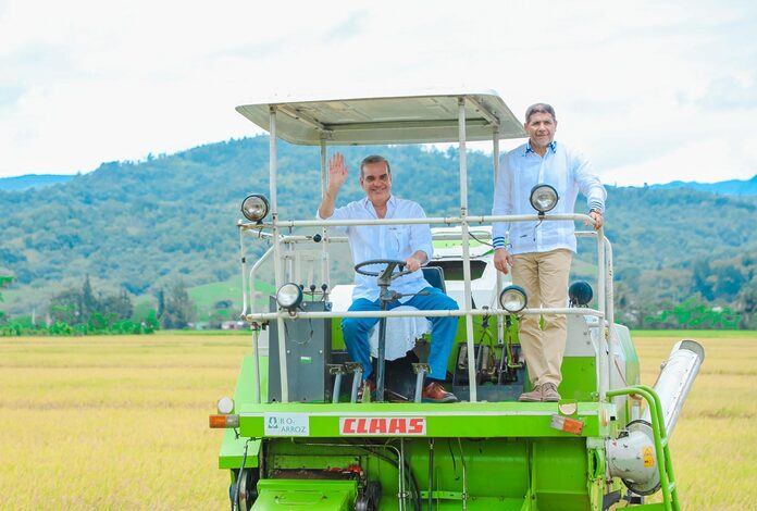 Presidente Abinader inaugurará escuela básica y dará inicio a la cosecha de arroz en Monseñor Nouel este sábado