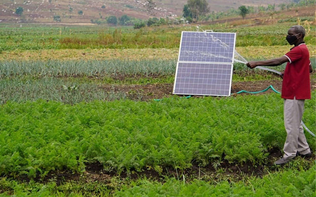 Energías renovables hacen prosperar la agricultura a pequeña escala en África
