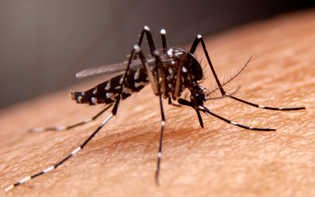 El primer medicamento para tratar la malaria en bebés es aprobado en Suiza