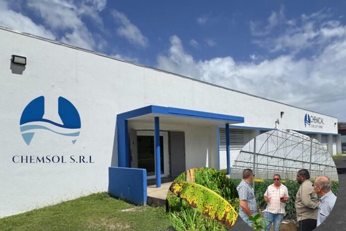 Empresa puertorriqueña CHEMSOL lanza en República Dominicana producto 100% natural que elimina la Sigatoka Negra