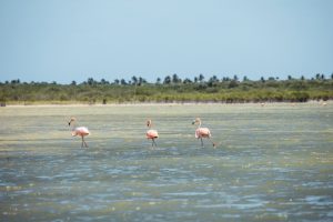 laguna de oviedo destinos únicos