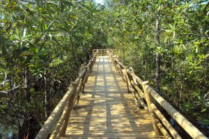 parque nacional el choco cabarete