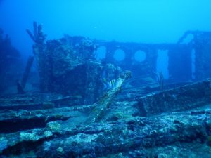 boca chica parque nacional submarino la caleta