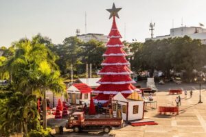 navidad en santo domingo zona colonial arbolito