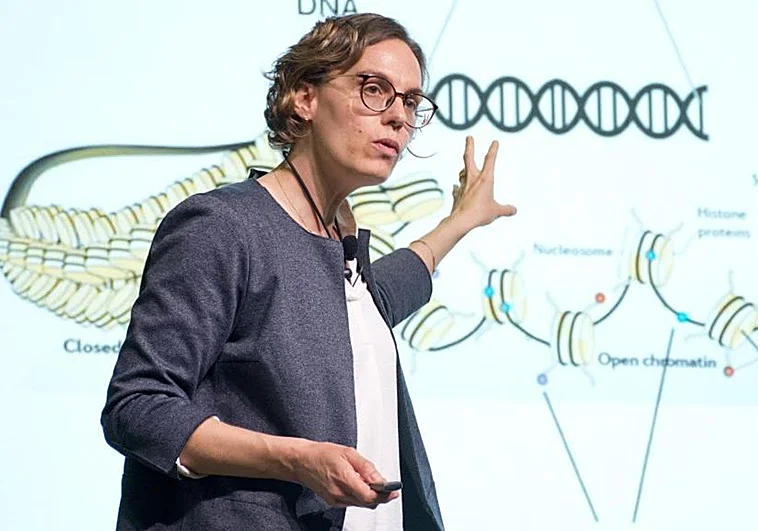 María Colomé: «Nuestra edad real depende de los interruptores que encienden o apagan nuestros genes»