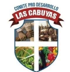 LasCabuyas | Comité Pro-Desarrollo solicita elevar comunidad a distrito municipal